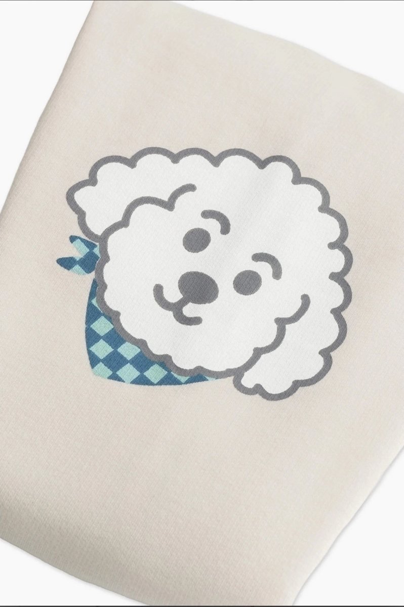 Conjunto infantil moletinho Reglan bege cachorro, foto 3