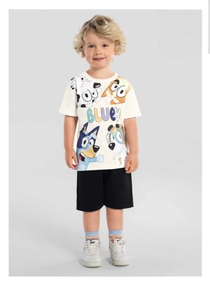 Camiseta Infantil Menino em Meia Malha Brandili